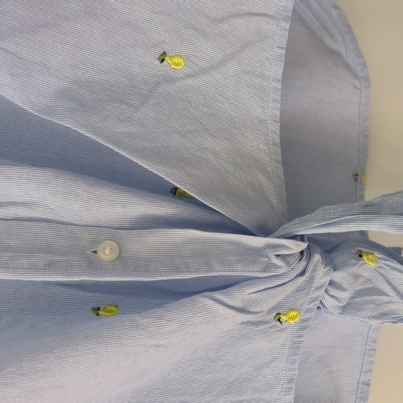 1901 lightweight cotton button down blouse with pear embroidered print - Picture 4 of 8